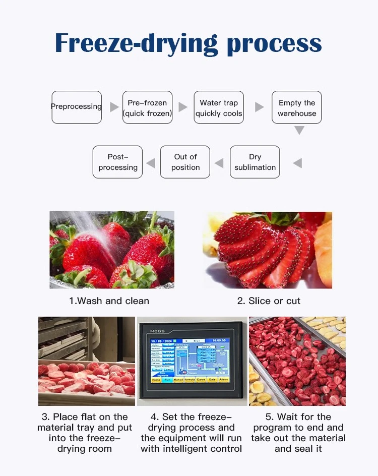 Freeze Dry Machine for Home freeze-dry process Freeze Dry Machine for Home freeze-dry process