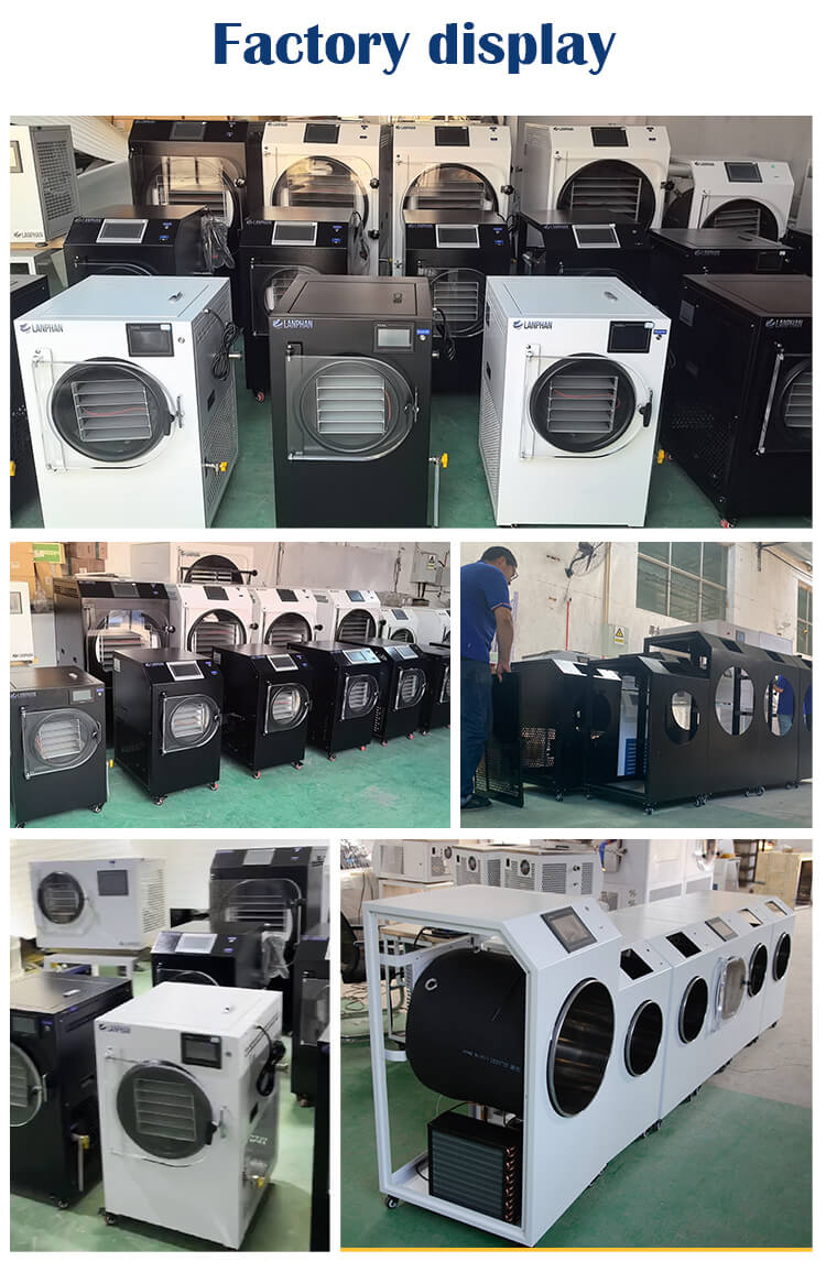Freeze Dry Machine for Home Factory Freeze Dry Machine for Home Factory